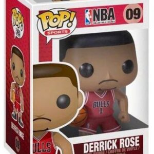 Derrick Rose sous les couleurs des Chicago Bulls