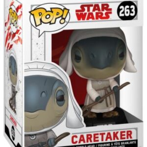 La Gardienne, sentinelle de Star Wars : Les Derniers Jedi