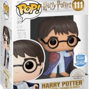 Harry Potter avec la Cape d’Invisibilité