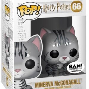 Minerva McGonagall transformée en chat