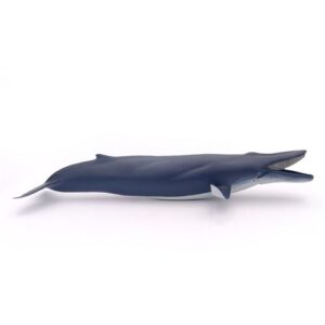 Figurine baleine grise, animal marin présenté comme pièce de collection